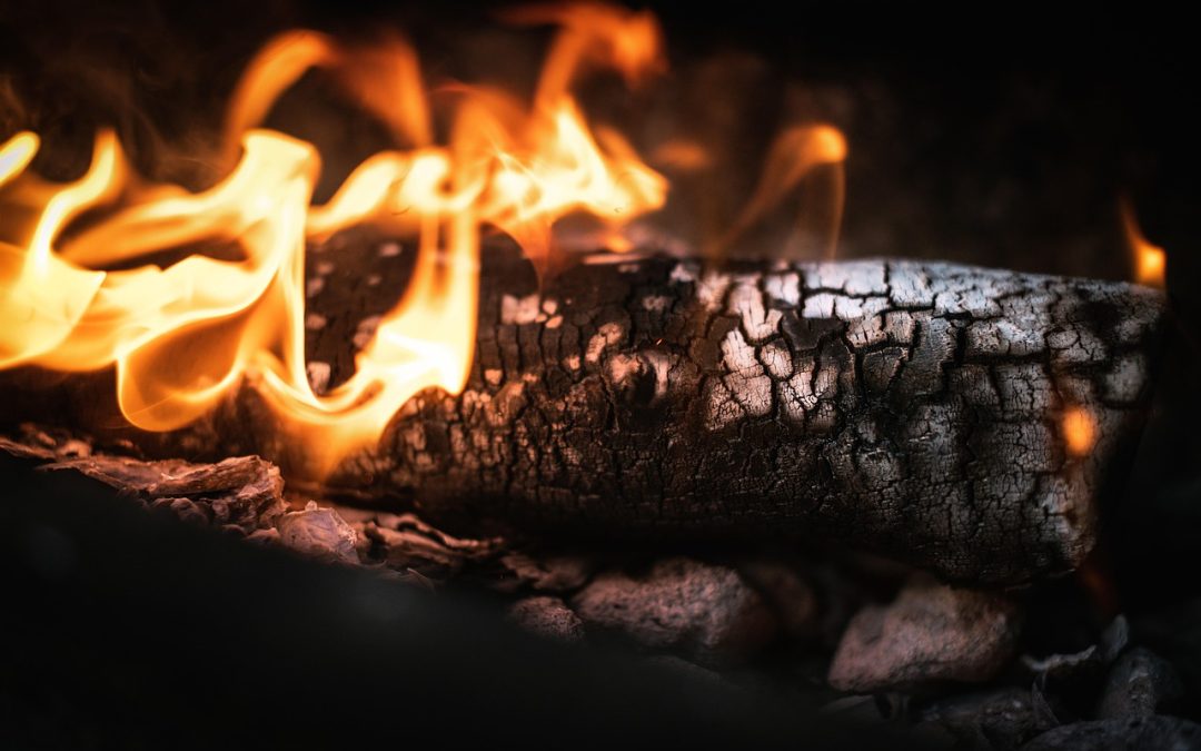 Dinas Damkar Lebak Tangani Pohon Tumbang Di Lapangan